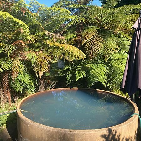 Whare&Geothermal Pool By Lake Taupo Turangi Eksteriør bilde