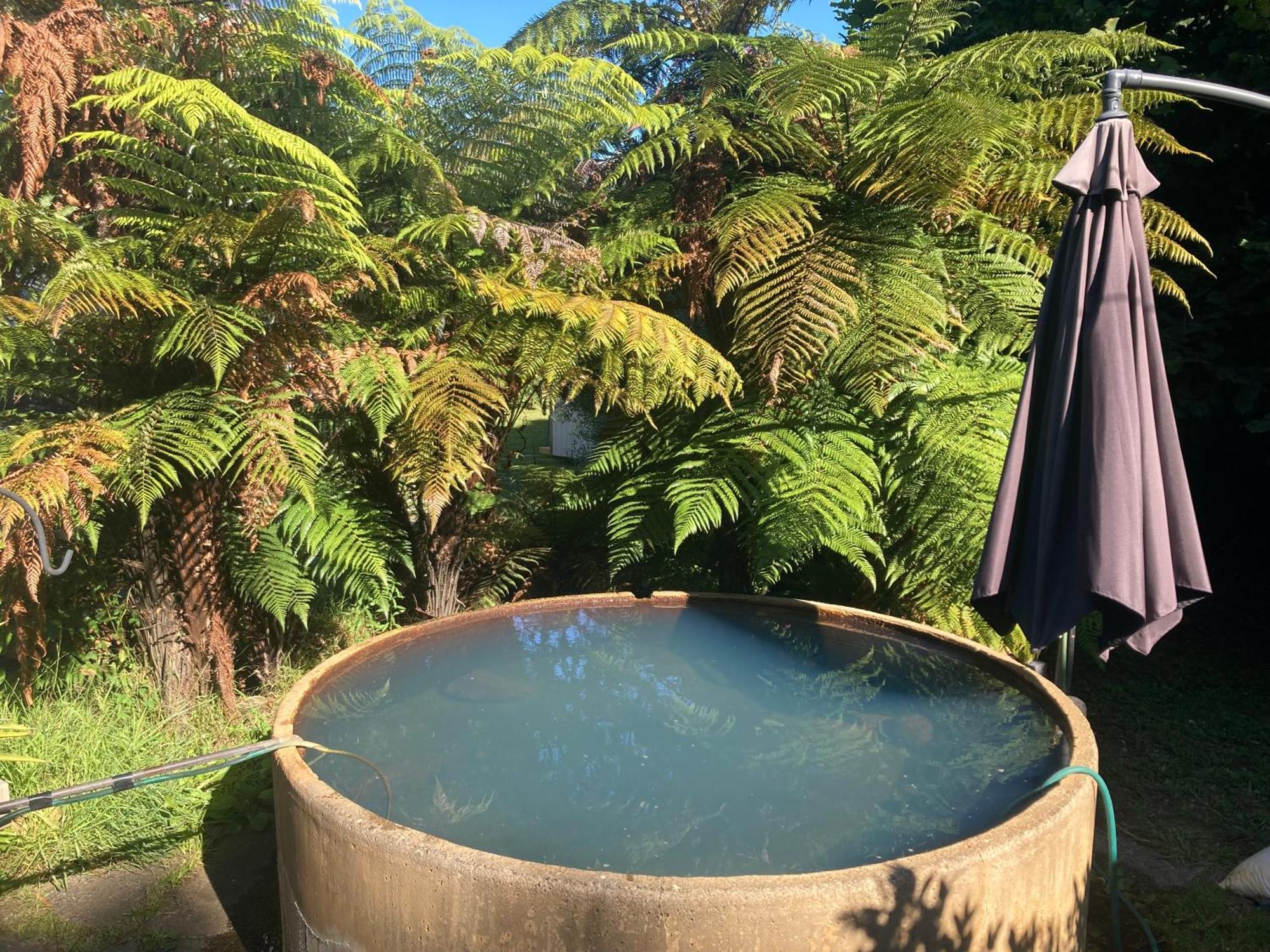 Whare&Geothermal Pool By Lake Taupo Turangi Eksteriør bilde